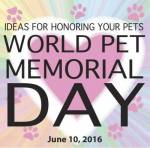 13343120_810191225781449_8665741853502569965_n